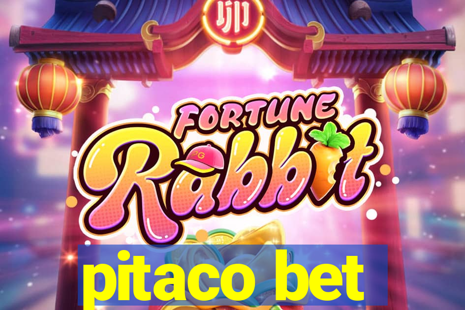 pitaco bet