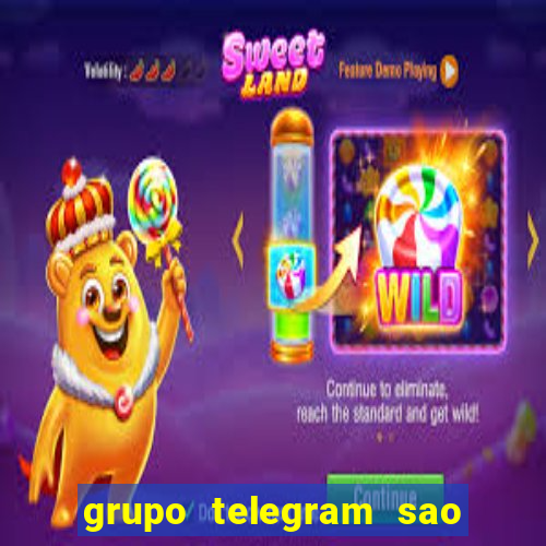 grupo telegram sao jose do rio preto