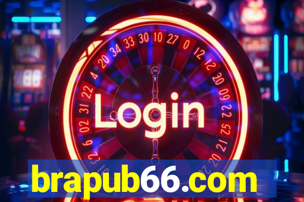 brapub66.com