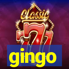 gingo