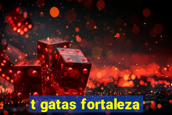 t gatas fortaleza