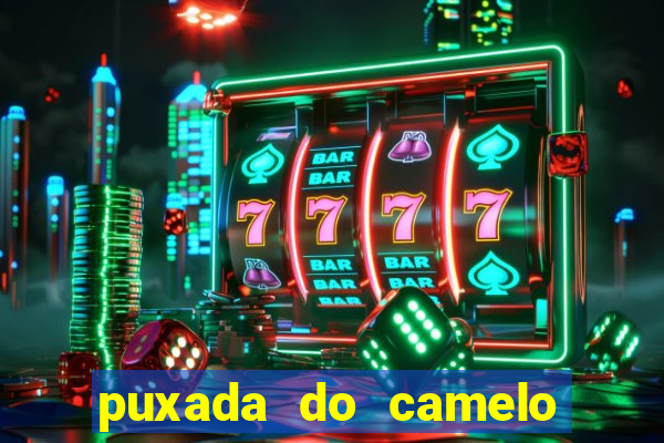 puxada do camelo jogo do bicho