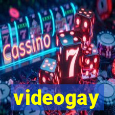 videogay