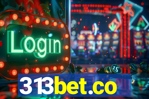 313bet.co