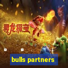 bulls partners