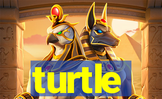 turtle-ty.com